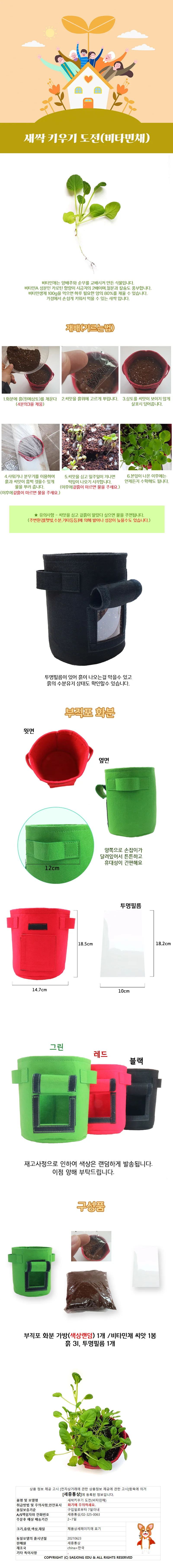 새싹키우기 도전(비타민채) 상세1