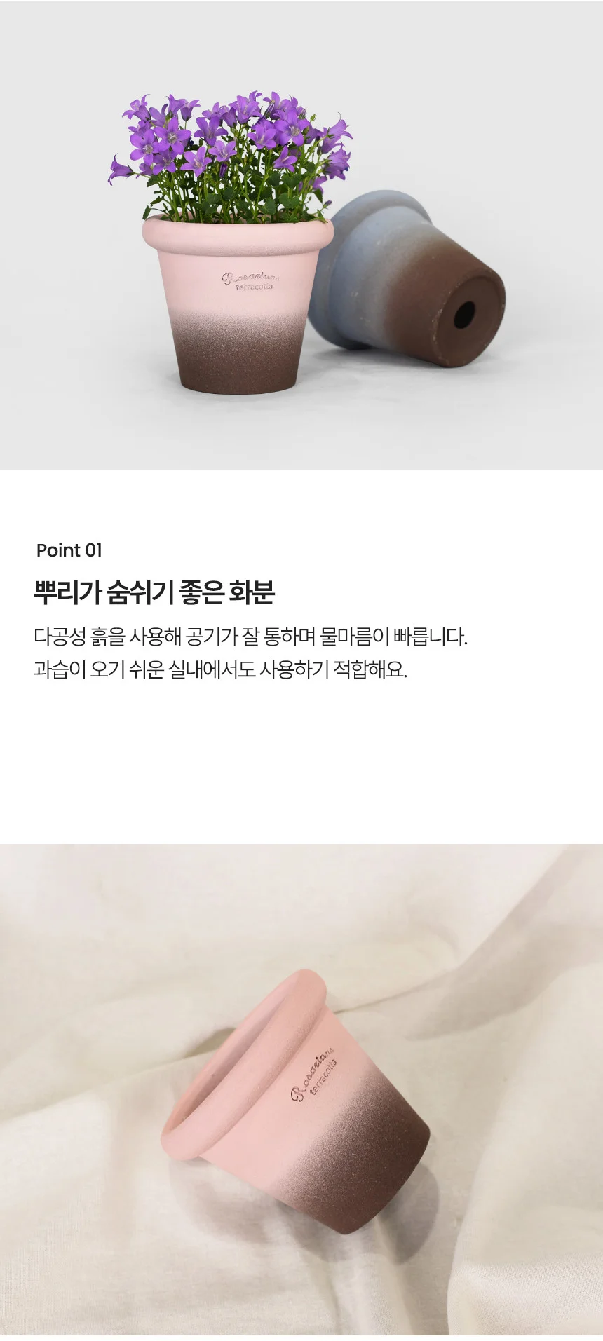 로자리안 컬러 슈가팟 상세4
