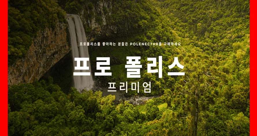 브라질 폴리넥타 그린 프로폴리스 80 30ml x 2개 상세2