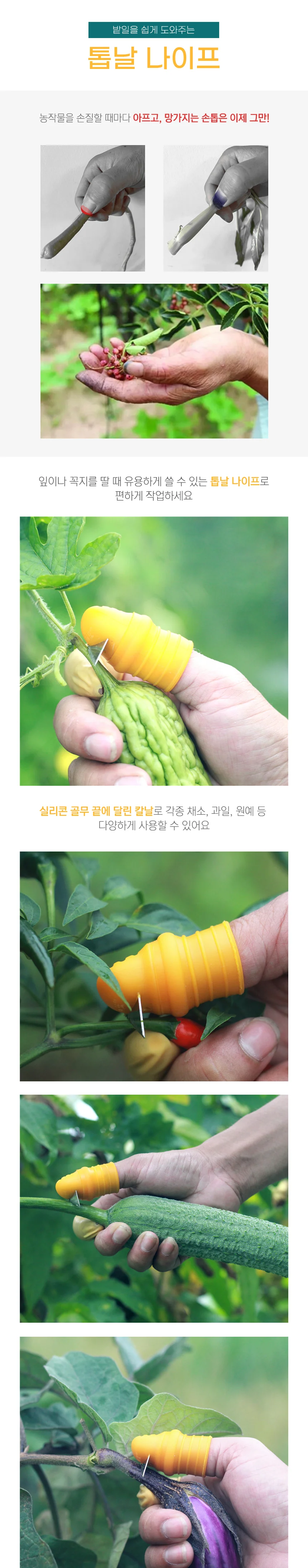 고추 채소 야채 수확 따기 톱날 엄지 나이프 엄지칼 상세1
