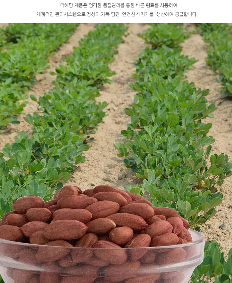 엠다인A 1kg 볶음땅콩 반태땅콩 생땅콩 상세2