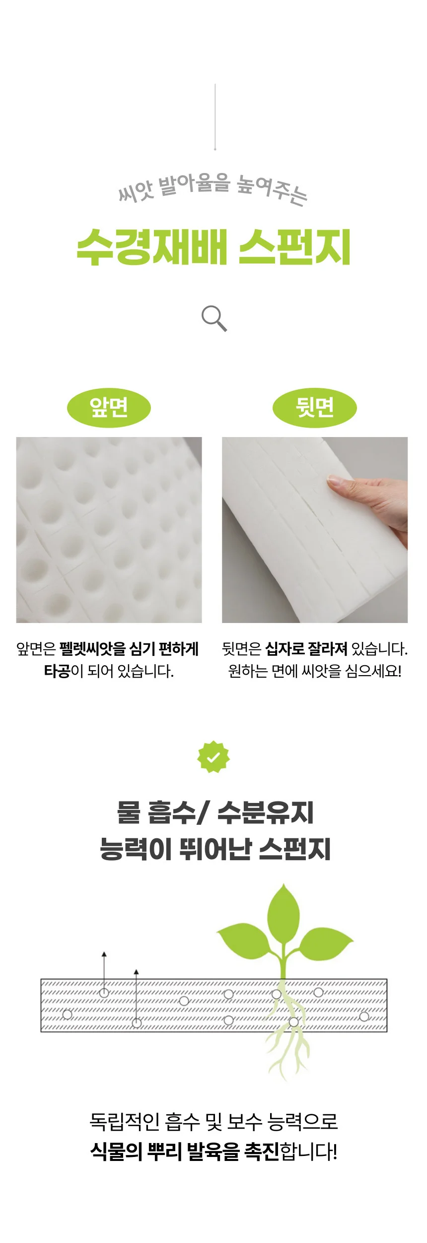 수경재배 씨앗 발아 식물 상추 파종 스펀지 100조각 상세2