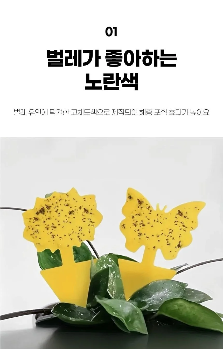 해바라기모양 해충끈끈이트랩 실내외 겸용 식물보호 상세5