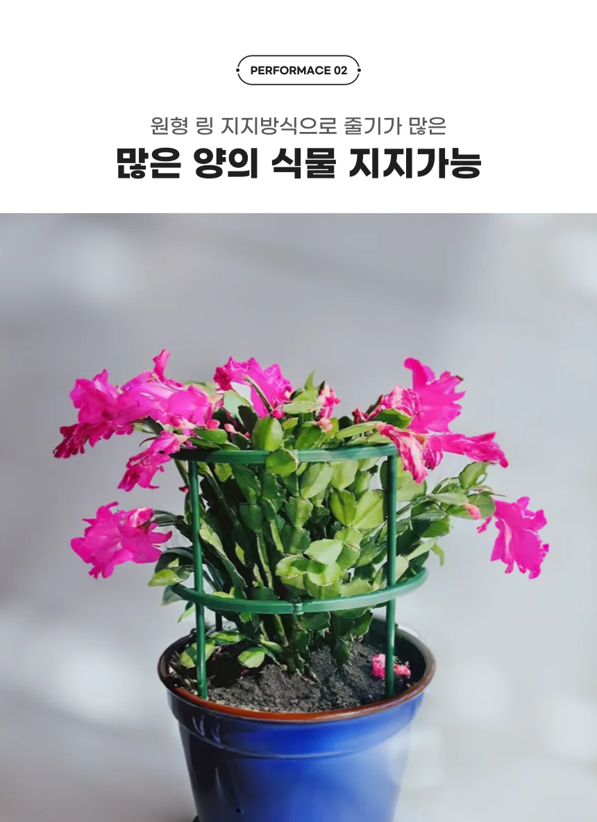 원예 화분 원형 식물 지지대 세트 상세5