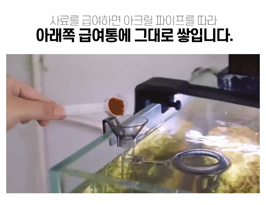 어항 대롱급 여기 상세2