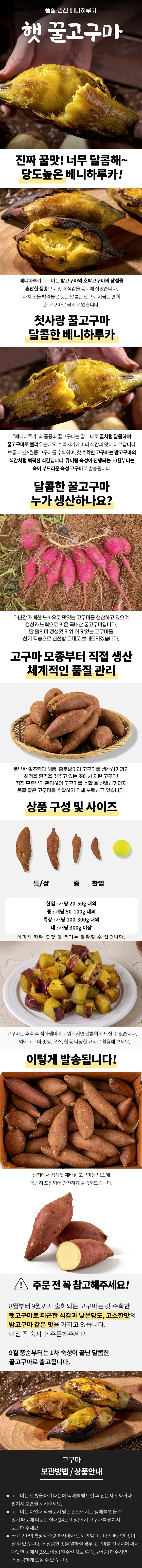 해남 꿀고구마 5kg 대 상세1