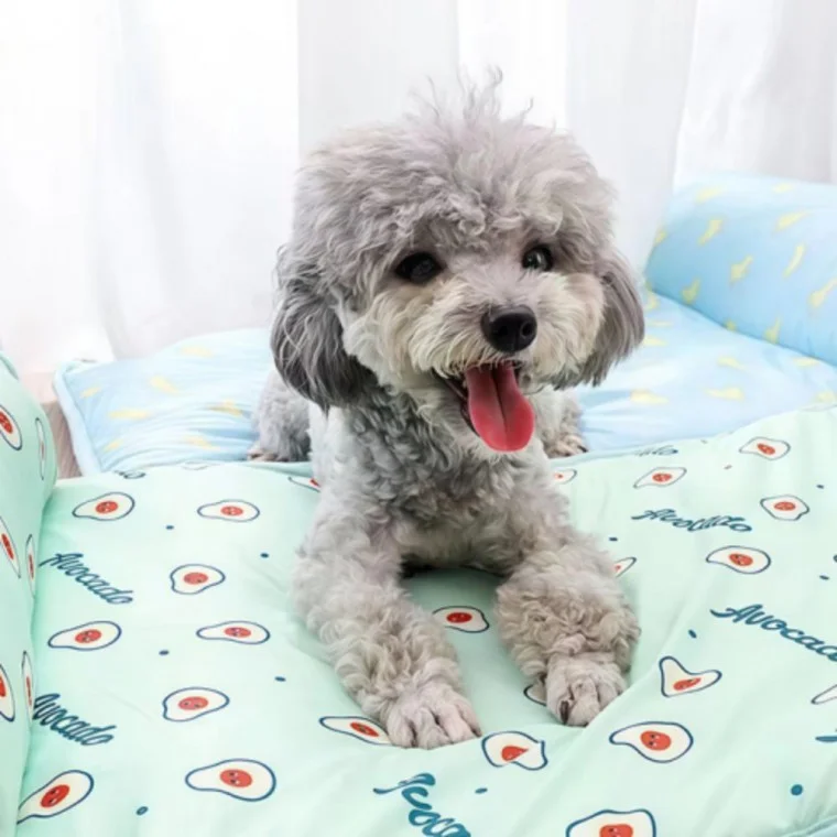 방석 고양이 쿨매트 강아지 애견 여름 애견용품 애완동물 쿨매트 방석 실내