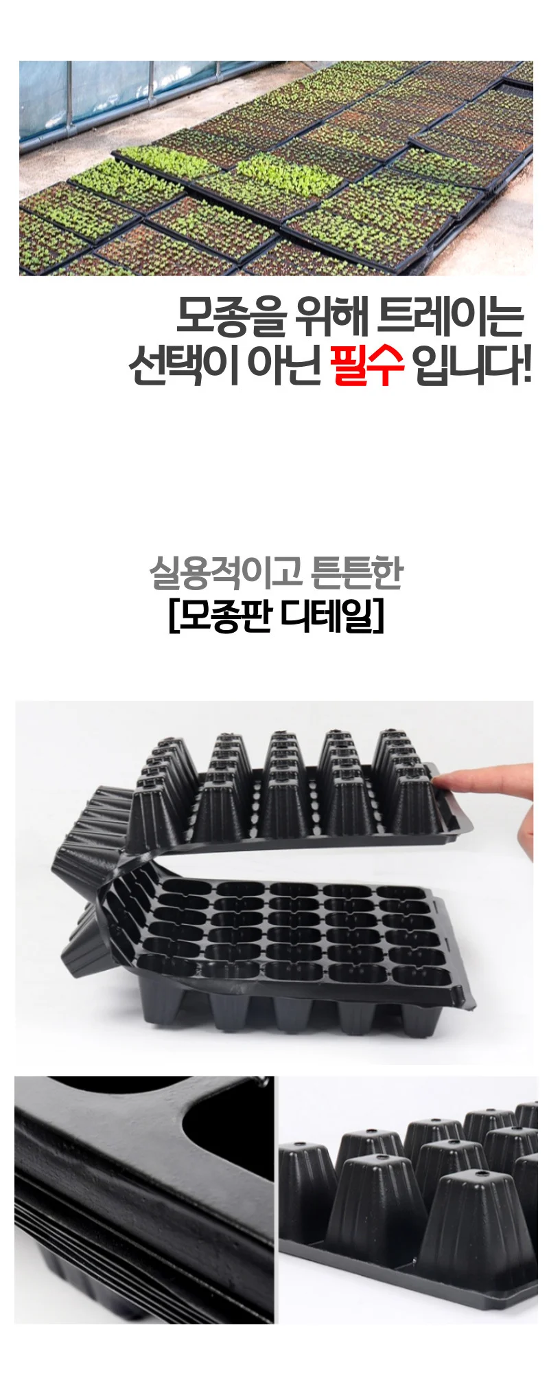모종트레이 모종판 육묘 파종 씨앗 트레이 72구 5개 상세4