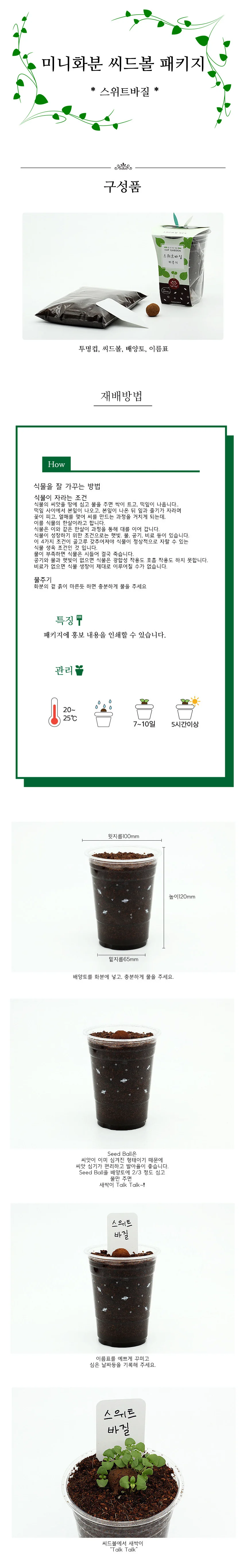 허브 화분 패키지 재배 키우기 바질 상세1