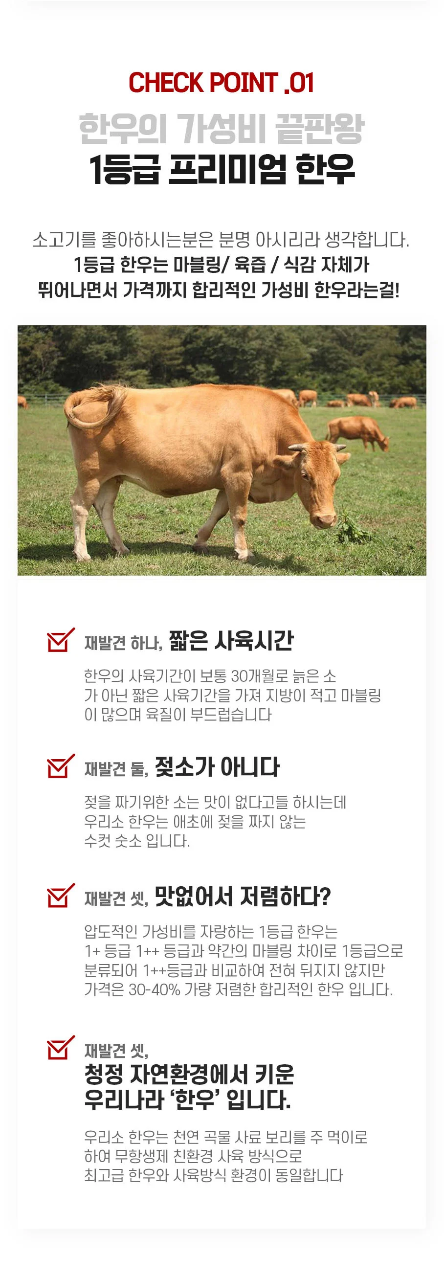 국내산 한우 1등급 특수부위 치마살 300g 상세5