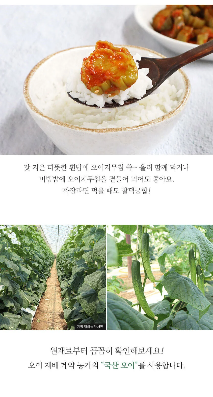 국산 천일염에 절인 매실오이지양념무침 500g 상세2