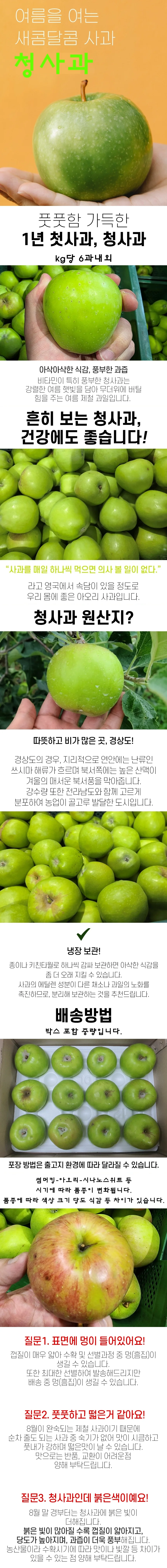 청사과 특품 5kg 소과 상세1