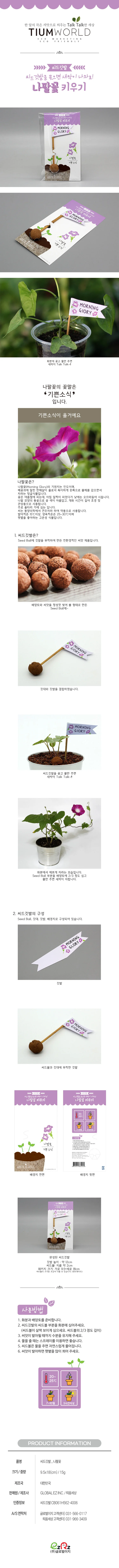 뚝딱 틔움 식물키우기 씨드 패키지 깃발 교구 재료 상세3