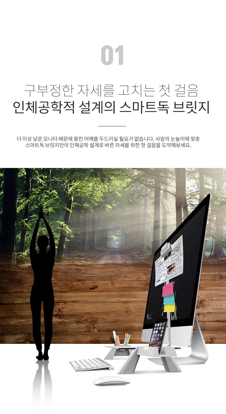 JB)스마트독 브릿지 블랙/투명 상세5