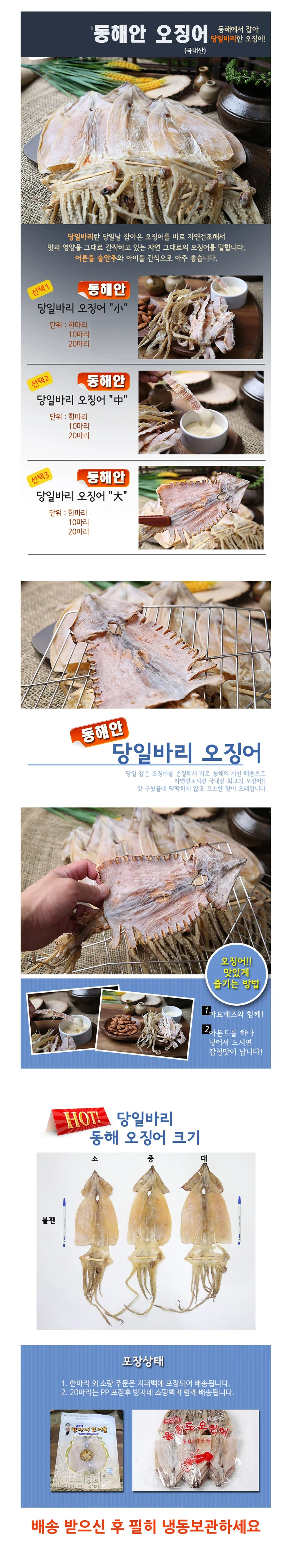 VB 동해안 당일바리 오징어 크키별로 (특대) 10마리 상세2