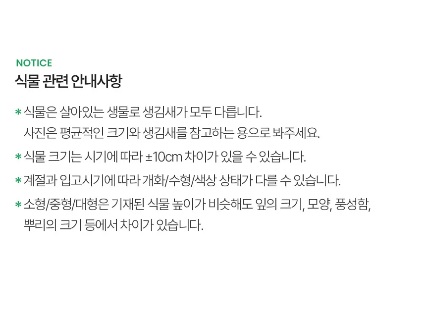 푸미라 (세척모종) 상세5