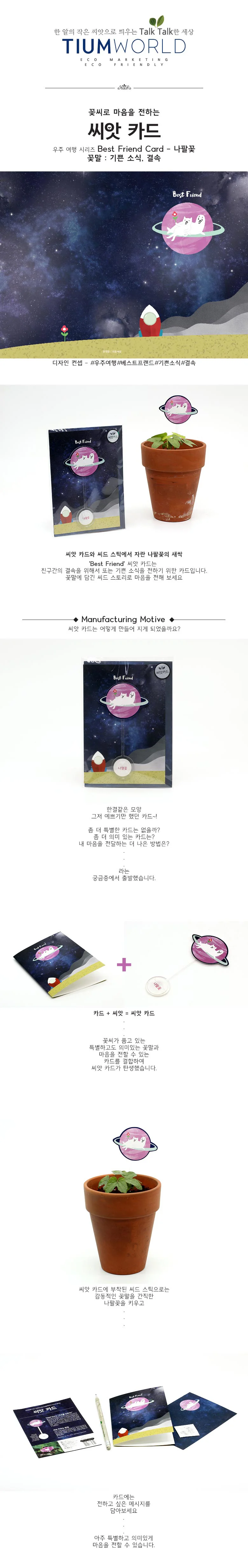 나팔꽃 씨앗카드 식물키우기 키트 미니화분 재배세트 식물소품 상세1