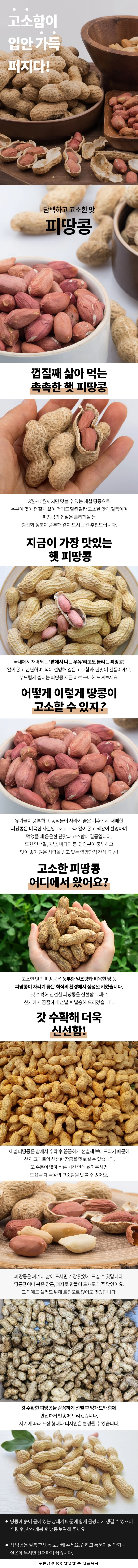 국내산 땅콩 500g 상세1