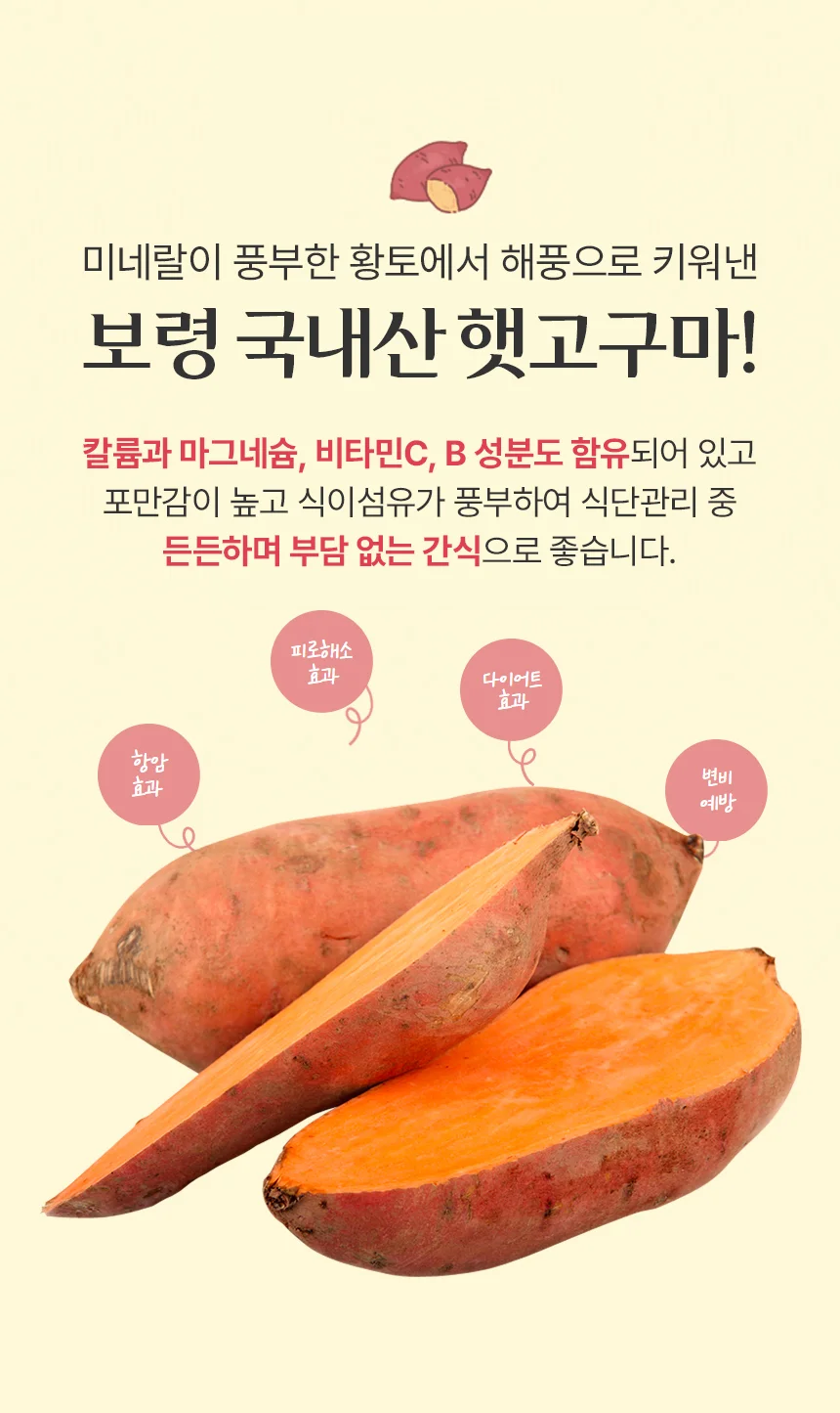 산지직송 보령 황토 호박고구마 비세척 10kg 상세2