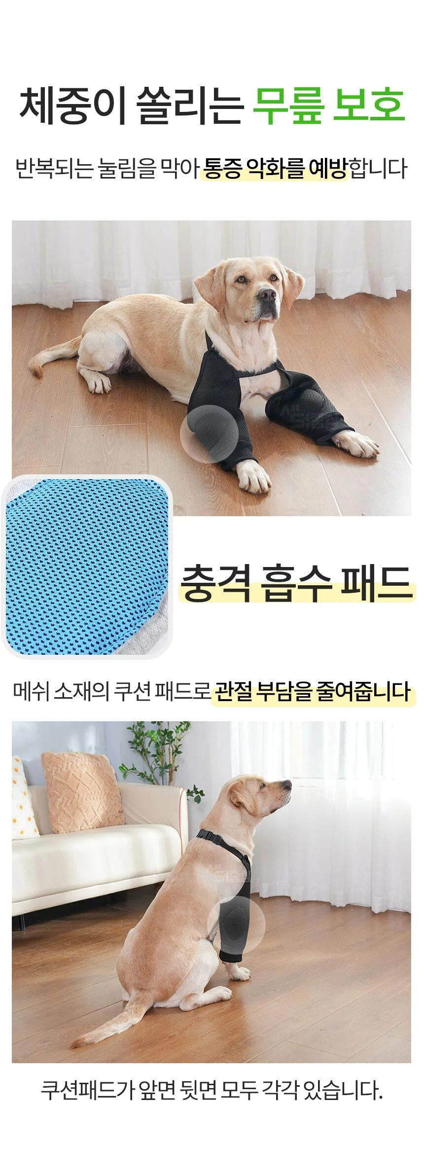 강아지 반려동물 무릎보호대 관절 보호 PE 상세3