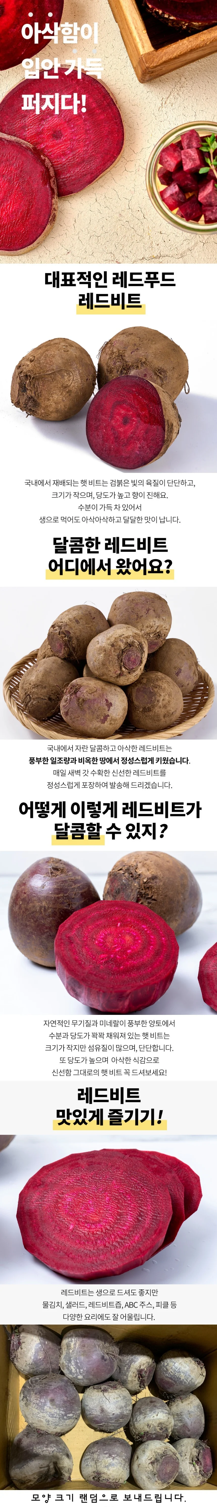레드비트 2kg 상세1