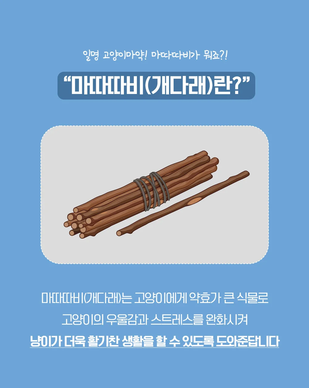 뚜또가또 고양이 마따따비 스틱 10개입 상세5