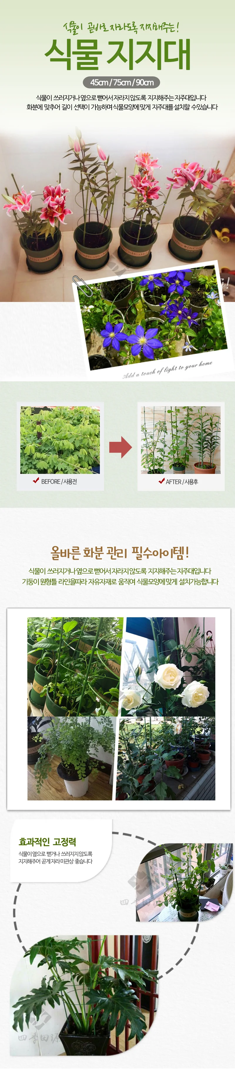 원형 식물지지대 화초지지대 지주대 45cm 상세1