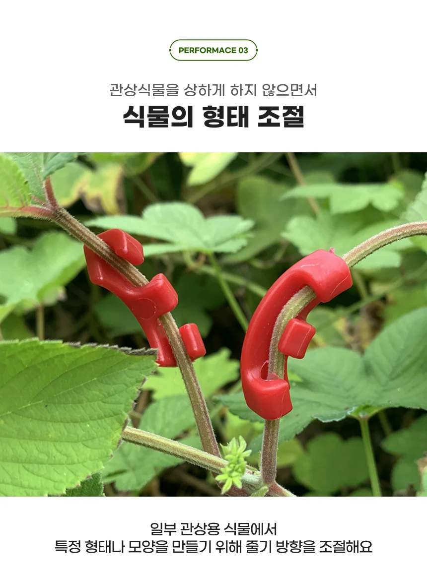 파스텔 실내화 거실 슬리퍼 욕실화 상세4
