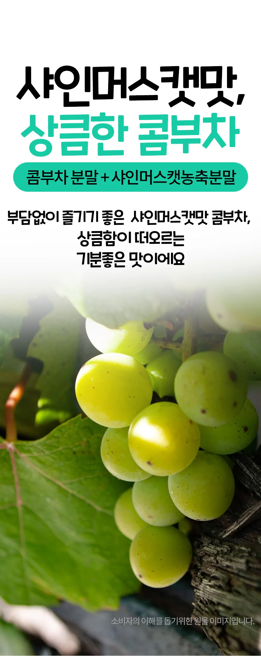 콤부차 샤인머스캣 30개입 상세4