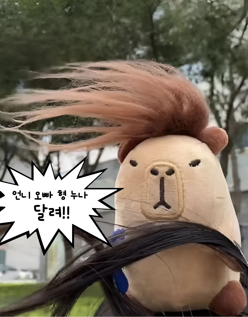 카피바라 머리띠 인형 헤어밴드 쓸데없는 킹받는 웃긴 선물 상세4