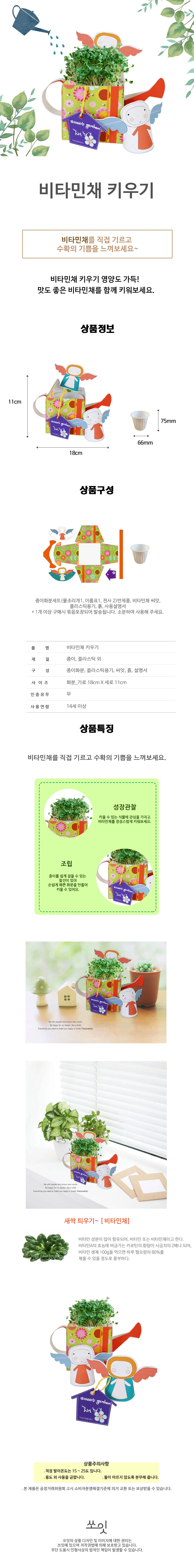 비타민채 키우기 키트 새싹 재배기 어린이 재배 체험 관찰학습 (5인용) 상세1