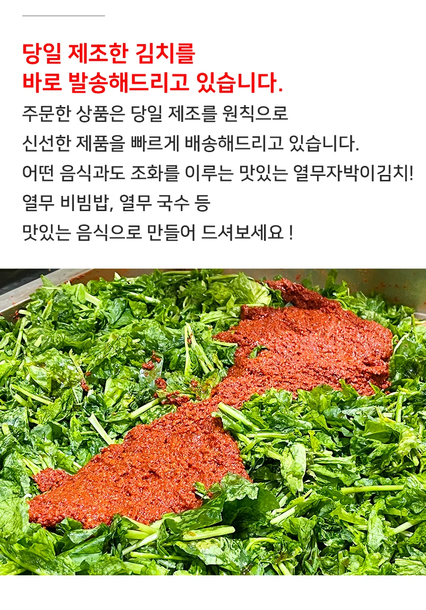전라도 당일생산 열무자박이 김치 2kg (100% 국산재료) 상세3