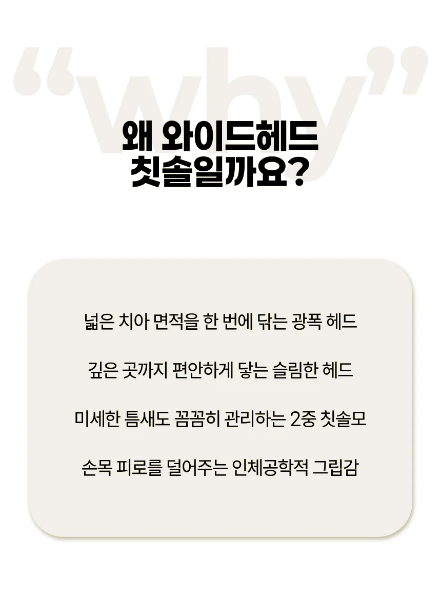 이지 와이드헤드 이중모 미세모 칫솔 12개입 상세4