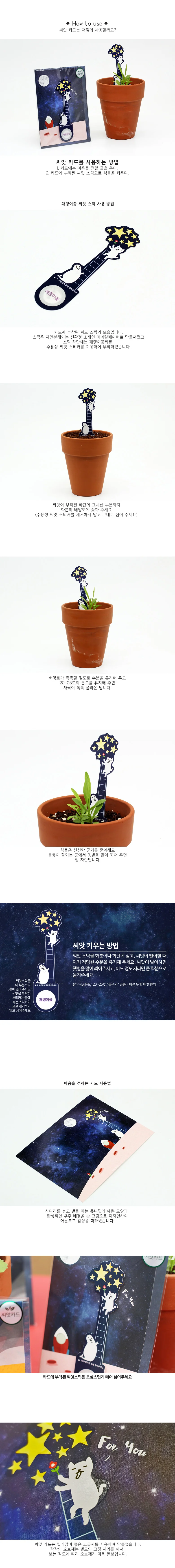 씨앗카드 패랭이꽃 씨앗선물 꽃재배 패랭이씨앗 꽃씨 상세2