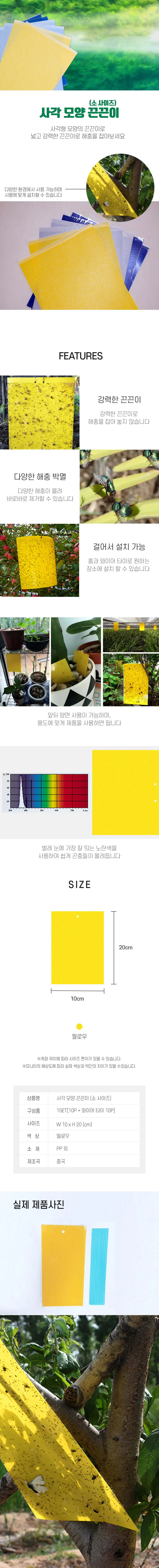 강력 초파리 트랩 파리 벌레 퇴치 끈끈이 소 10매 상세2