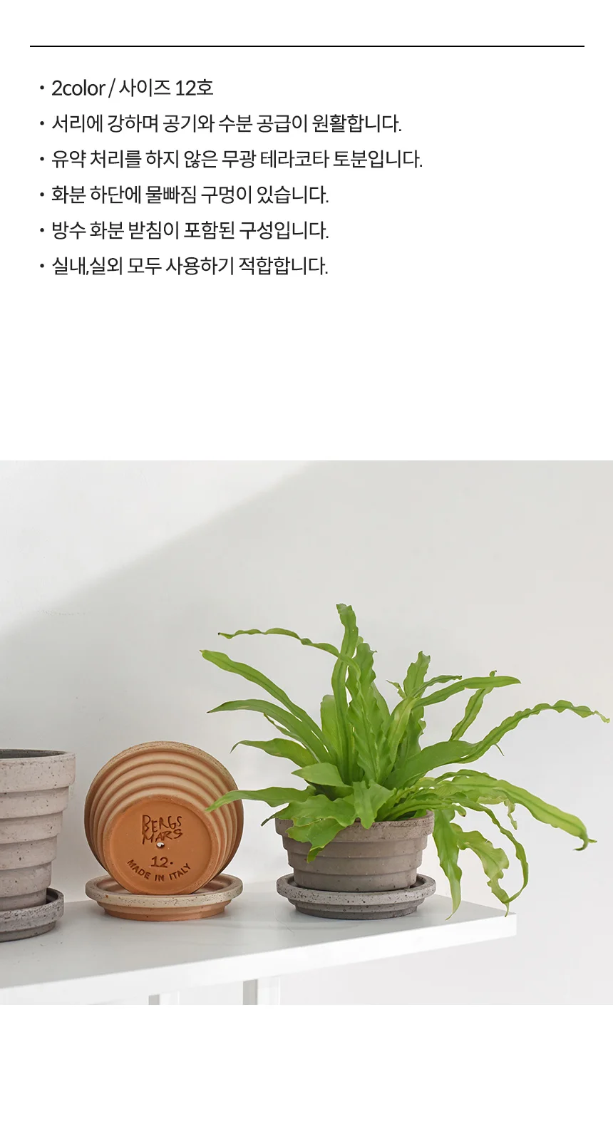 베르그 포터 플래닛 마스 화분 상세5