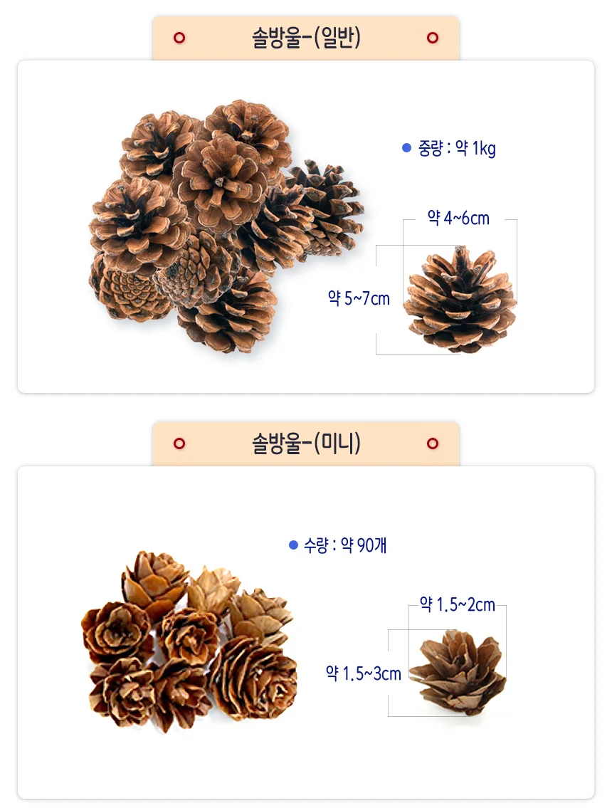 천연솔방울 만들기 공예공작 - 2사이즈 (대용량) 상세2
