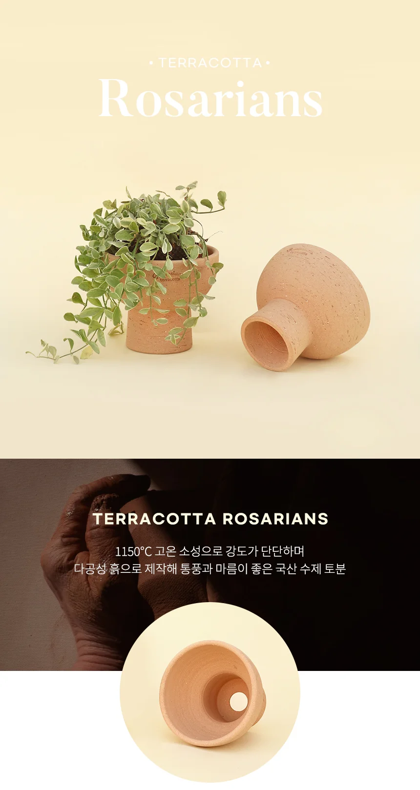 로자리안 허니 크림팟 상세1