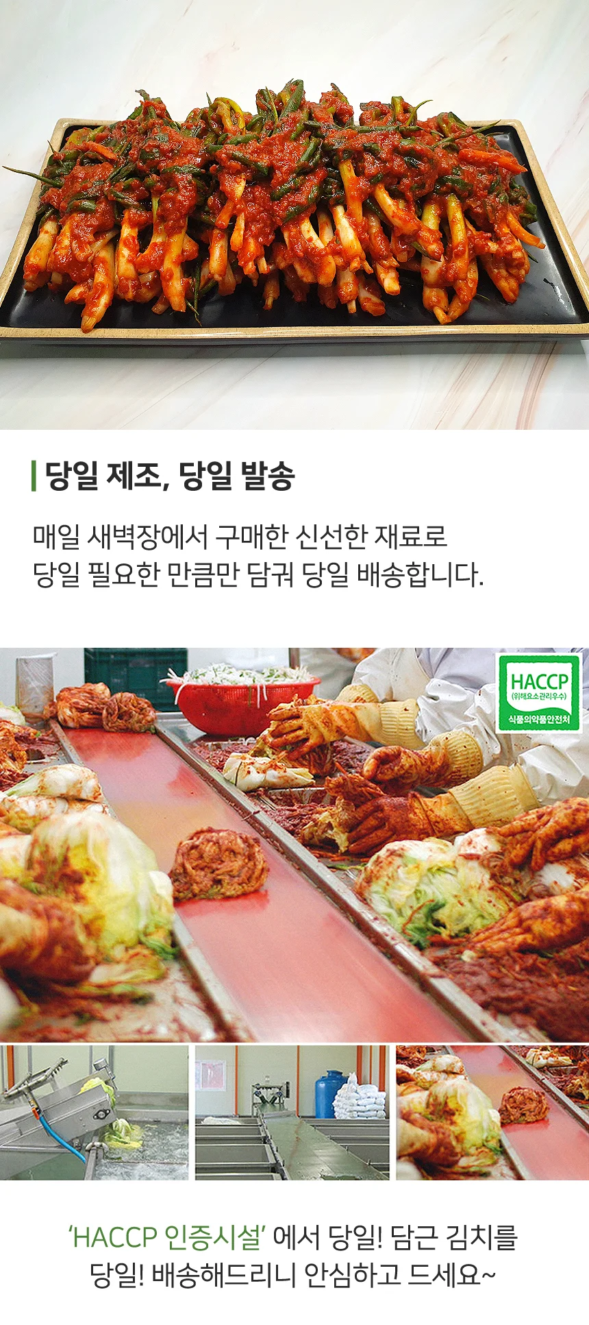 당일제조 전통양념 전라도 파김치 3kg (100% 국산재료) 상세4