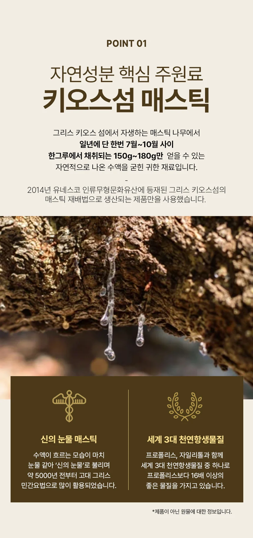 셀메이드 매스틱분말 200g 1병 상세3
