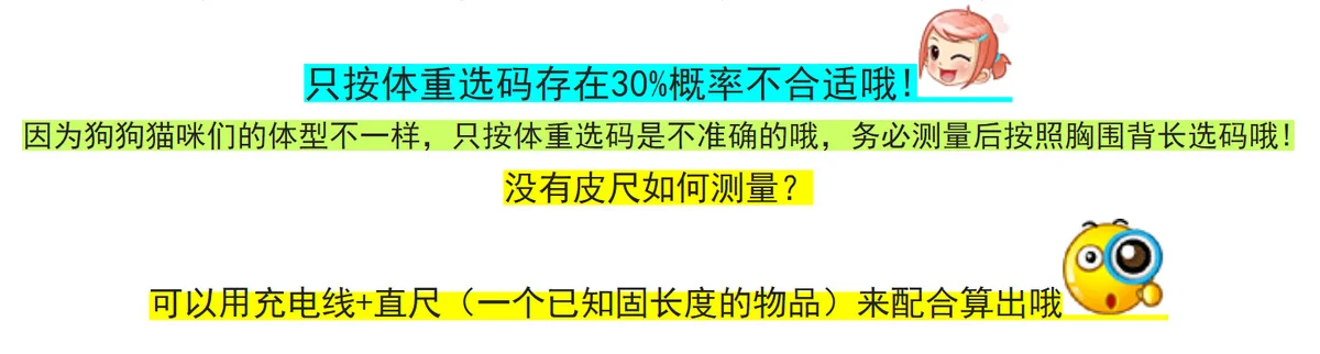 방한용 네발 패딩 테디 보미 셰너리 옷 시빌 베어 퓨어 상세1