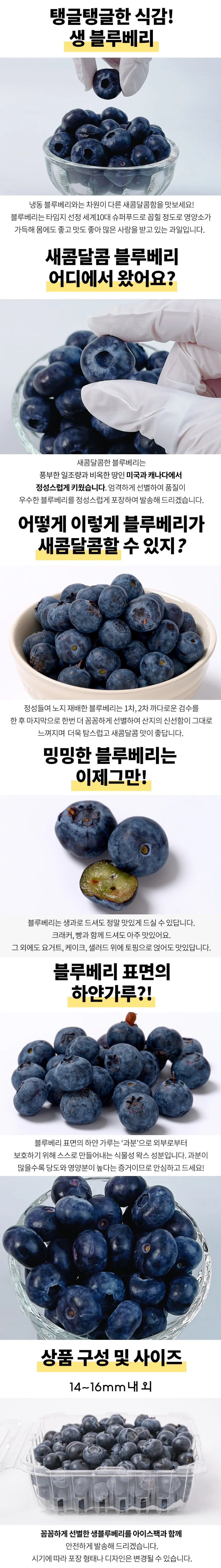 블루베리 대 125g 상세1