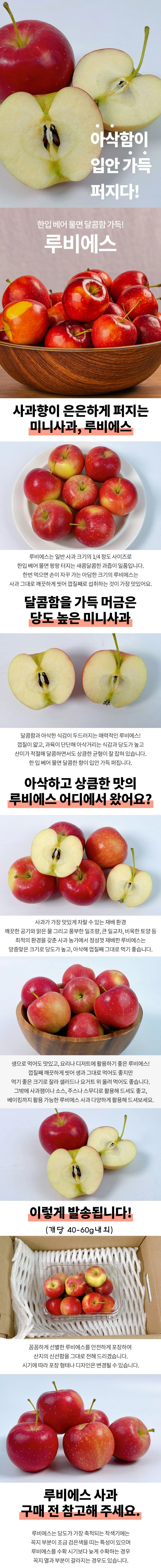 루비에스 사과 3kg 상세1