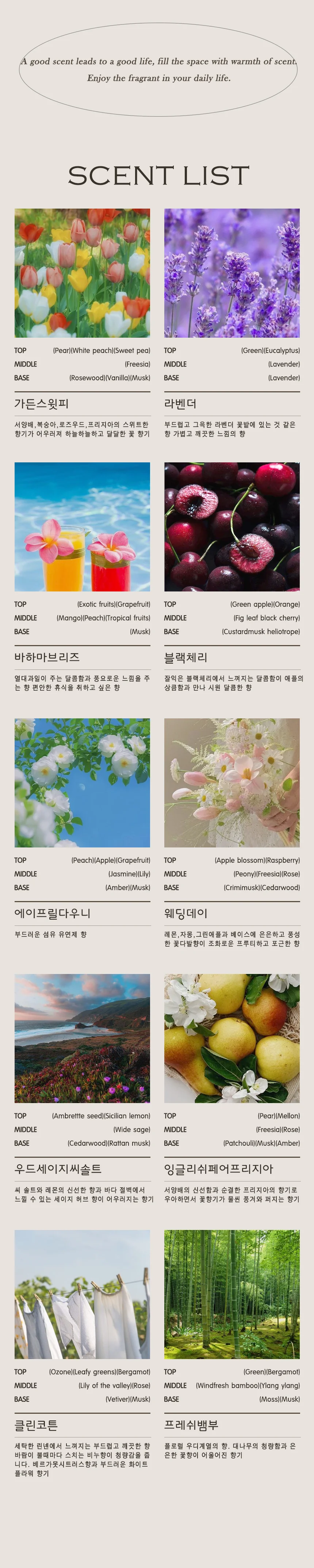 루미나D 드라이플라워 디퓨저 diy 키트 15ml 10개 만들기세트 상세3