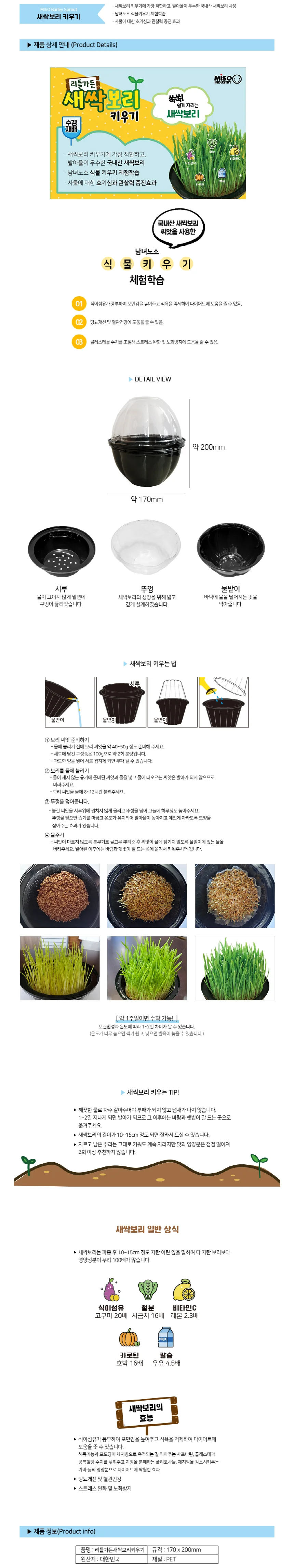 새싹보리 키우기 키트 재배기 - 국내산 상세2
