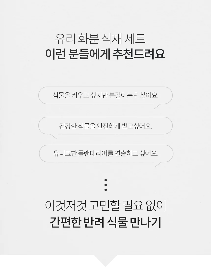 무늬벤자민 유리화분 받침세트 상세4