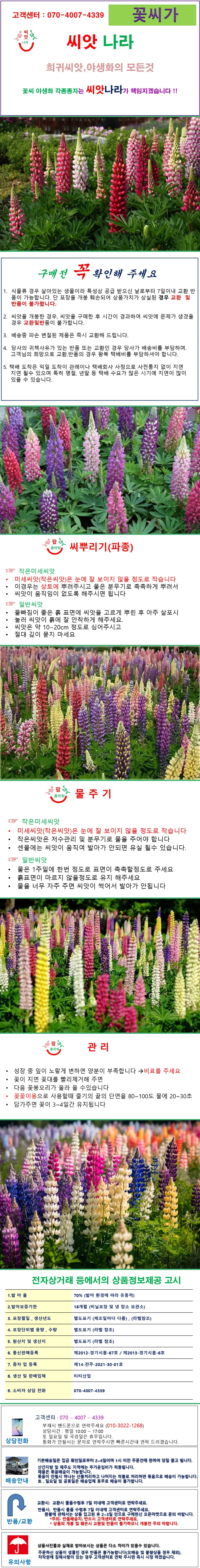큰키 루피너스 혼합 10립 상세1