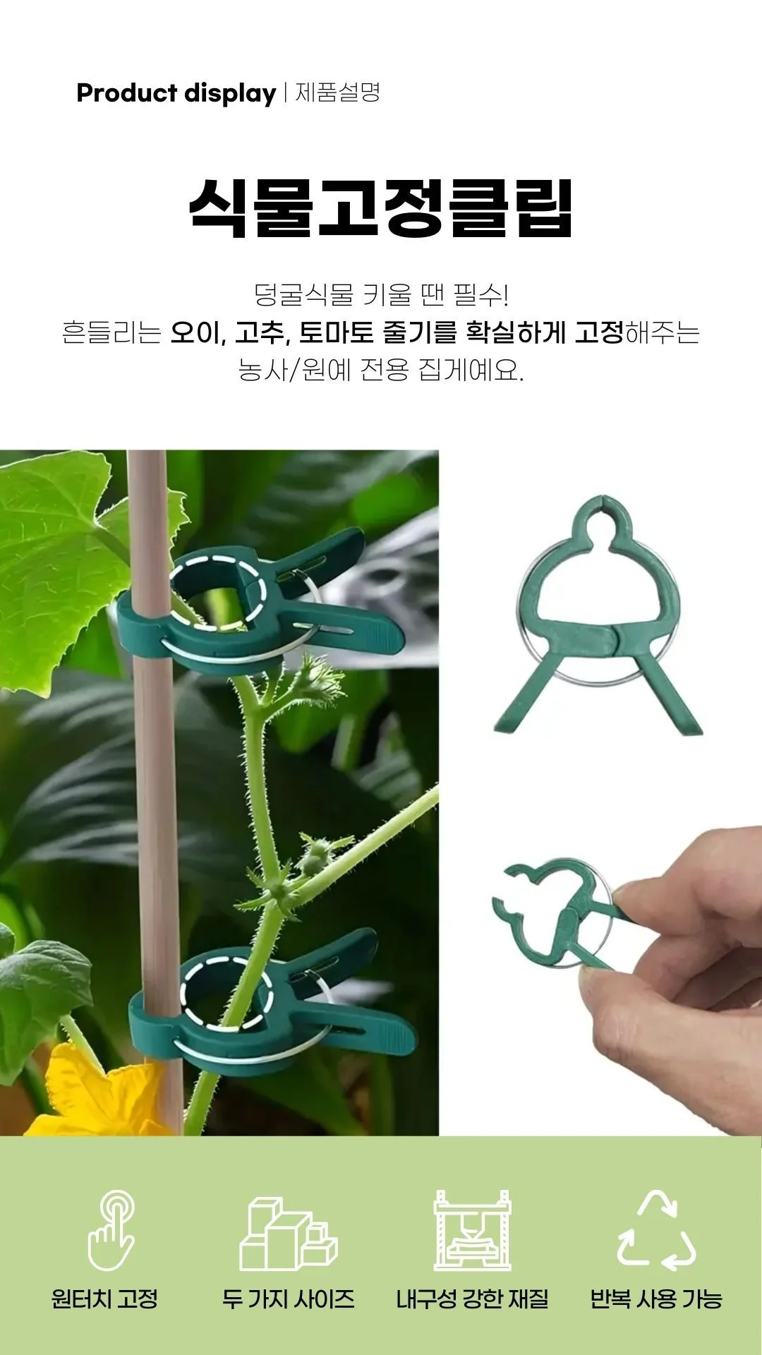 식물 고정클립 소 중 식물클립 지지대클립 상세2