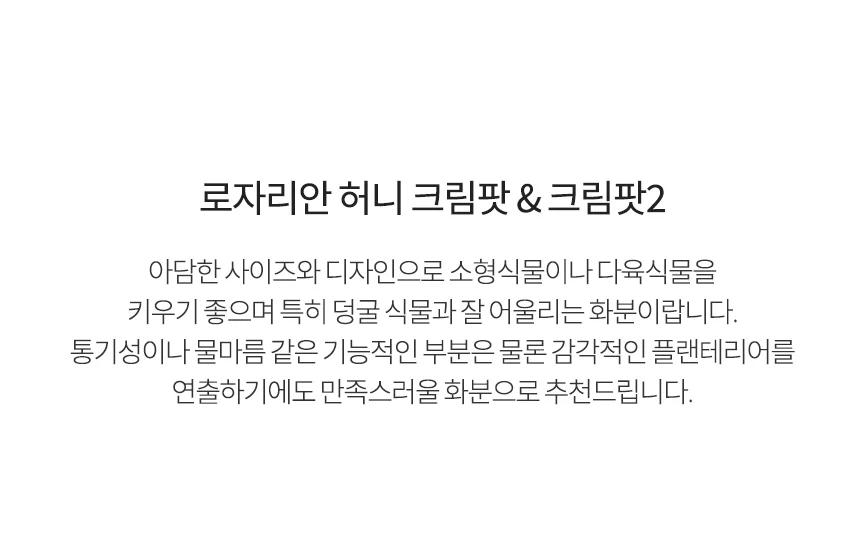 로자리안 허니 크림팟 상세2
