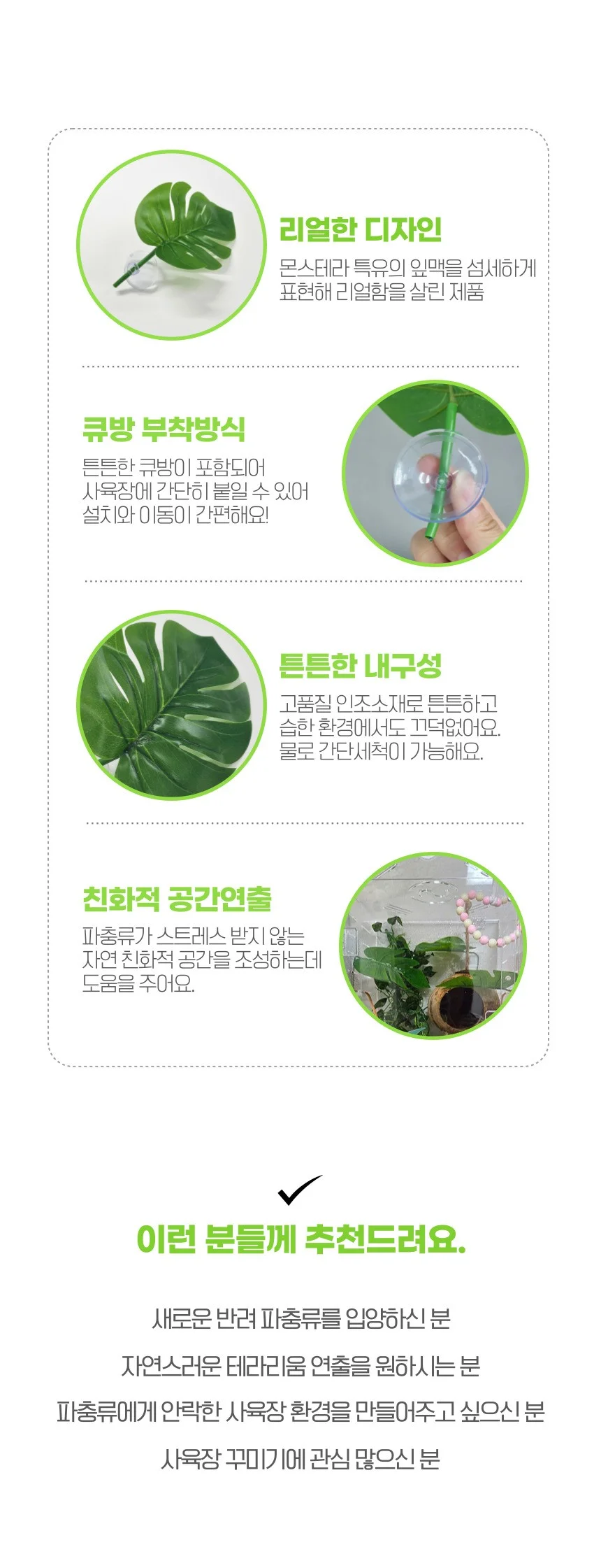 파충류 사육장 꾸미기 몬스테라 알보 인조 나뭇잎 2종 상세2